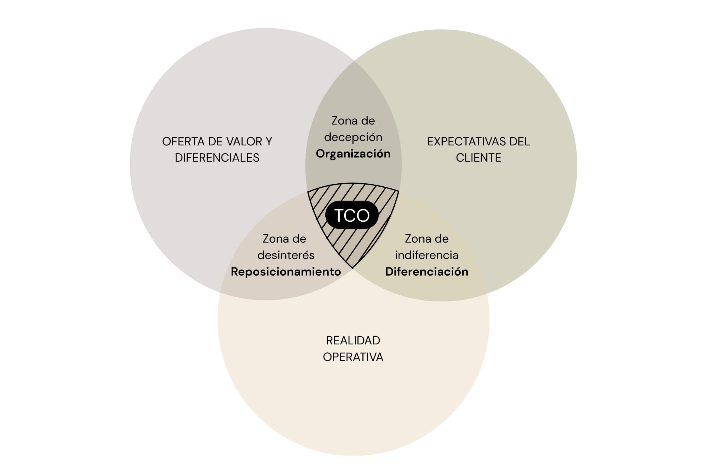 Triángulo de coherencia organizacional y zonas de desalineación